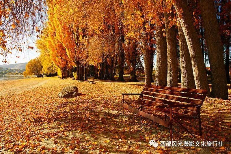 老凤祥k金首饰回收价格想的可不要过于简单！