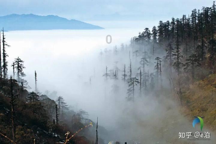 剑勇传奇忍者龙剑传Z