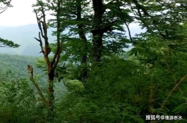 想要辞职去中建某局公司里做招投标，可以这么做吗？游戏画面