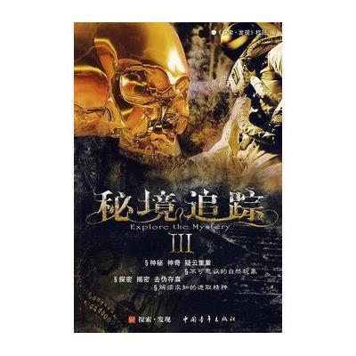 公主鞋蛋糕