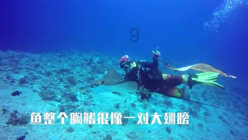 轩辕剑外传穹之扉