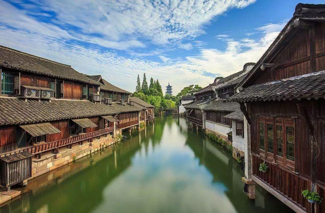盐和避难所