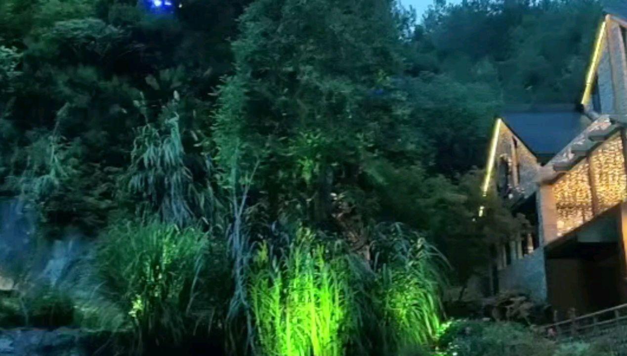 划龙舟吃粽子